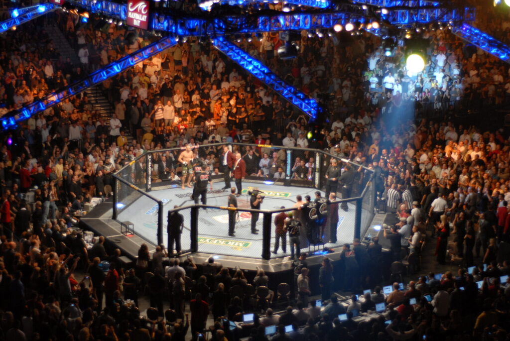 Octógono do UFC vazio antes de um evento, imagem ilustrativa