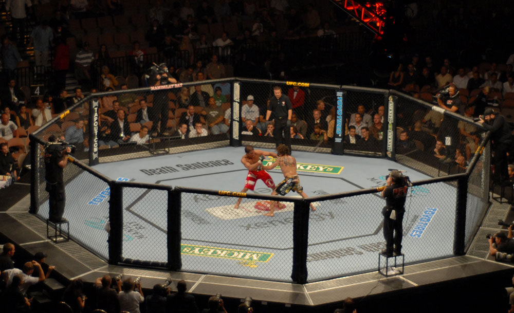 Octógono do UFC durante luta de MMA, imagem meramente ilustrativa